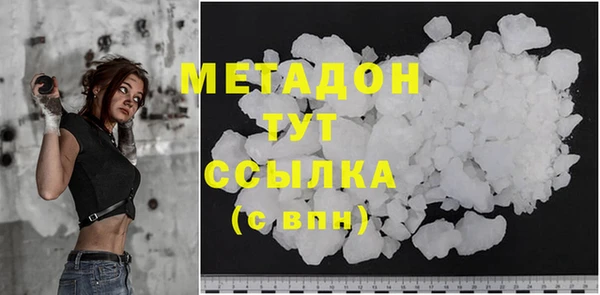хмурый Аркадак