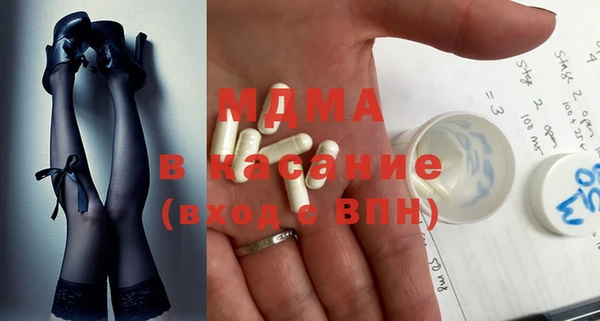 хмурый Аркадак