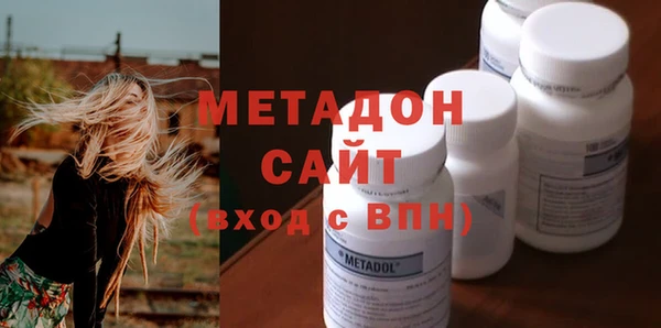 хмурый Аркадак