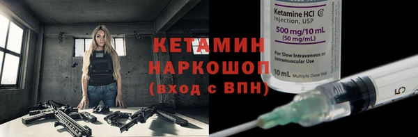 хмурый Аркадак