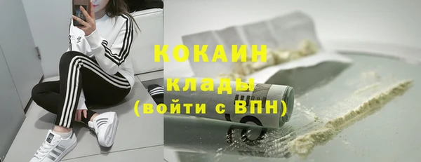 хмурый Аркадак