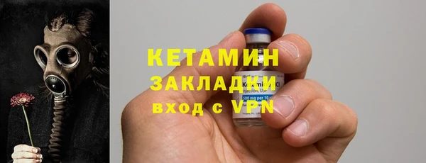 хмурый Аркадак