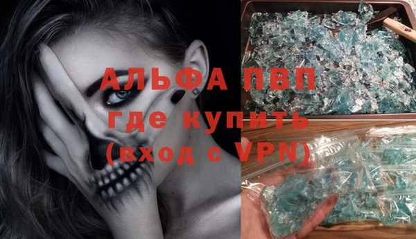 хмурый Аркадак