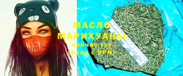 хмурый Аркадак