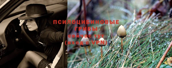твердый Арсеньев