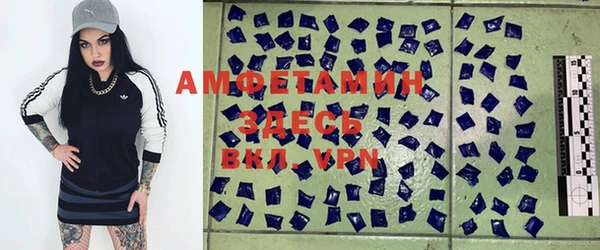 твердый Арсеньев