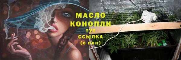 хмурый Аркадак