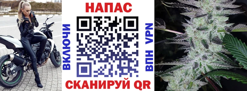 Конопля MAZAR  мега вход  Сальск  наркота 